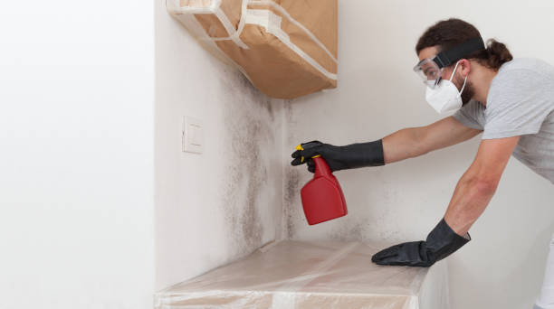 Professional Basement Mold Remediation technician working in Emmitsburg, MD