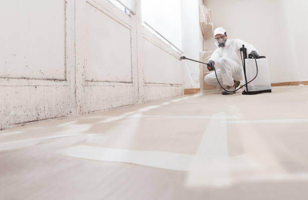 24/7 Emergency Basement Mold Remediation experts in Emmitsburg, MD